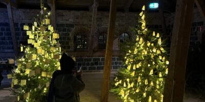 Skolbios filmhobby – höstterminen 2025